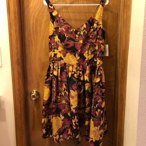 Taylor Dresses A-line fit & flare dress